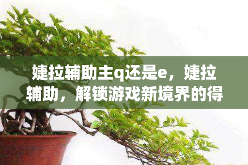 婕拉辅助主q还是e,婕拉辅助,解锁游戏新境界的得力助手 婕拉辅助主q还是e,婕拉辅助,解锁游戏新境界的得力助手