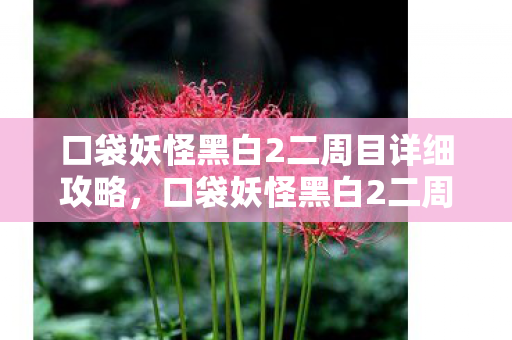 口袋妖怪黑白2二周目详细攻略，口袋妖怪黑白2二周目，挑战与探索的延续