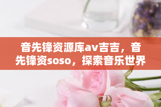 音先锋资源库av吉吉，音先锋资soso，探索音乐世界的无限可能