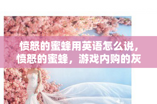 愤怒的蜜蜂用英语怎么说，愤怒的蜜蜂，游戏内购的灰色阴影