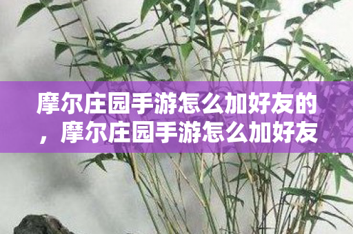 摩尔庄园手游怎么加好友的,摩尔庄园手游怎么加好友 摩尔庄园手游怎么加好友的,摩尔庄园手游怎么加好友