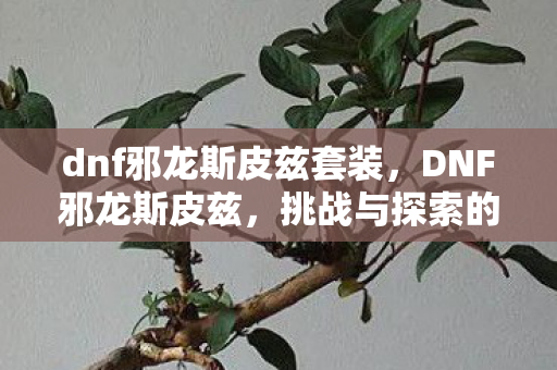 dnf邪龙斯皮兹套装,DNF邪龙斯皮兹,挑战与探索的传奇之旅 dnf邪龙斯皮兹套装,DNF邪龙斯皮兹,挑战与探索的传奇之旅