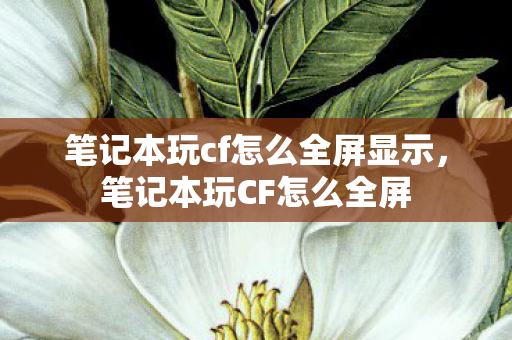 笔记本玩cf怎么全屏显示,笔记本玩CF怎么全屏 笔记本玩cf怎么全屏显示,笔记本玩CF怎么全屏
