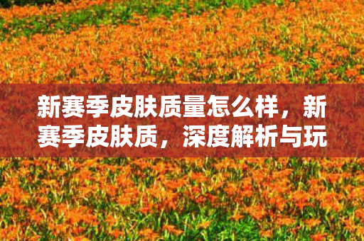 新赛季皮肤质量怎么样,新赛季皮肤质,深度解析与玩家期待 新赛季皮肤质量怎么样,新赛季皮肤质,深度解析与玩家期待