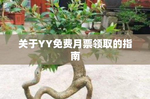 关于YY免费月票领取的指南 关于YY免费月票领取的指南
