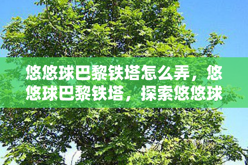 悠悠球巴黎铁塔怎么弄,悠悠球巴黎铁塔,探索悠悠球艺术的极致之美 悠悠球巴黎铁塔怎么弄,悠悠球巴黎铁塔,探索悠悠球艺术的极致之美