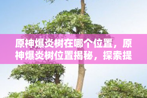 原神爆炎树在哪个位置，原神爆炎树位置揭秘，探索提瓦特大陆的炽热挑战