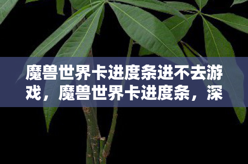 魔兽世界卡进度条进不去游戏,魔兽世界卡进度条,深度解析与解决方案 魔兽世界卡进度条进不去游戏,魔兽世界卡进度条,深度解析与解决方案
