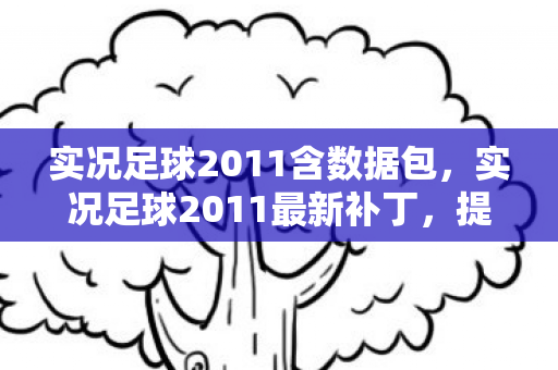 实况足球2011含数据包,实况足球2011最新补丁,提升游戏体验的必备利器 实况足球2011含数据包,实况足球2011最新补丁,提升游戏体验的必备利器