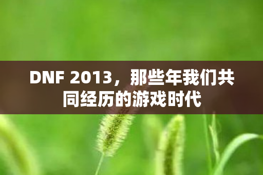 DNF 2013,那些年我们共同经历的游戏时代 DNF 2013,那些年我们共同经历的游戏时代
