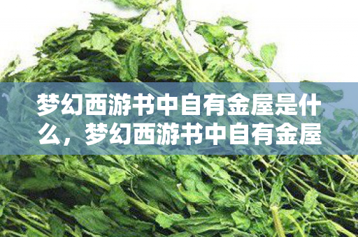 梦幻西游书中自有金屋是什么,梦幻西游书中自有金屋,探寻虚拟世界的财富与梦想 梦幻西游书中自有金屋是什么,梦幻西游书中自有金屋,探寻虚拟世界的财富与梦想