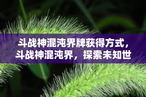 斗战神混沌界牌获得方式,斗战神混沌界,探索未知世界的奇妙之旅 斗战神混沌界牌获得方式,斗战神混沌界,探索未知世界的奇妙之旅