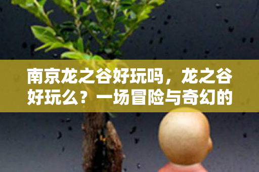 南京龙之谷好玩吗，龙之谷好玩么？一场冒险与奇幻的盛宴