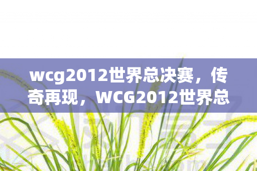 wcg2012世界总决赛,传奇再现,WCG2012世界总决赛DOTA的荣耀时刻 wcg2012世界总决赛,传奇再现,WCG2012世界总决赛DOTA的荣耀时刻