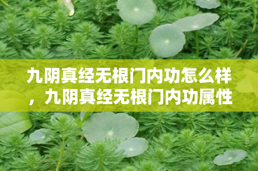 九阴真经无根门内功怎么样,九阴真经无根门内功属性解析 九阴真经无根门内功怎么样,九阴真经无根门内功属性解析