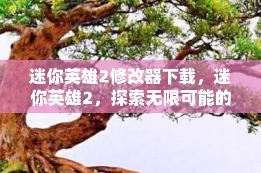 迷你英雄2修改器下载,迷你英雄2,探索无限可能的冒险之旅 迷你英雄2修改器下载,迷你英雄2,探索无限可能的冒险之旅