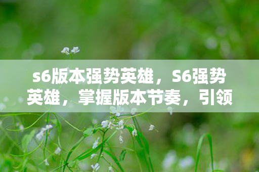 s6版本强势英雄,S6强势英雄,掌握版本节奏,引领战场潮流 s6版本强势英雄,S6强势英雄,掌握版本节奏,引领战场潮流