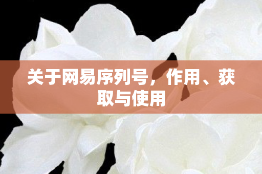 关于网易序列号，作用、获取与使用