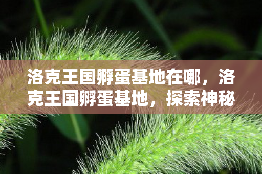 洛克王国孵蛋基地在哪,洛克王国孵蛋基地,探索神秘宠物世界的奇妙之旅 洛克王国孵蛋基地在哪,洛克王国孵蛋基地,探索神秘宠物世界的奇妙之旅