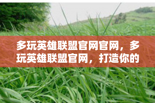 多玩英雄联盟官网官网，多玩英雄联盟官网，打造你的专属游戏天堂
