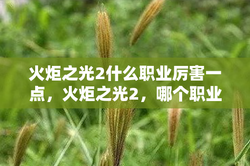 火炬之光2什么职业厉害一点,火炬之光2,哪个职业最厉害? 火炬之光2什么职业厉害一点,火炬之光2,哪个职业最厉害?