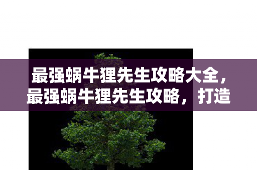 最强蜗牛狸先生攻略大全，最强蜗牛狸先生攻略，打造顶级蜗牛的全面指南