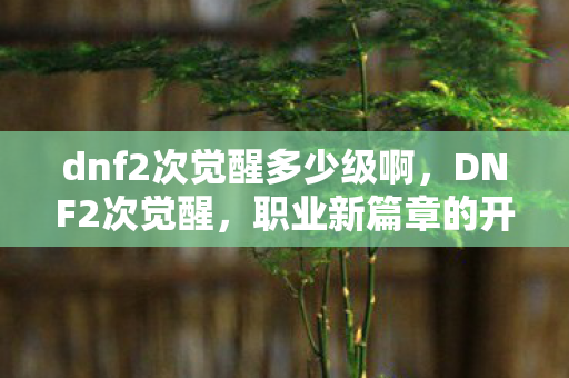 dnf2次觉醒多少级啊,DNF2次觉醒,职业新篇章的开启与影响 dnf2次觉醒多少级啊,DNF2次觉醒,职业新篇章的开启与影响