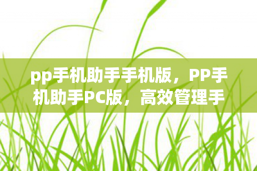 pp手机助手手机版,PP手机助手PC版,高效管理手机内容的得力助手 pp手机助手手机版,PP手机助手PC版,高效管理手机内容的得力助手