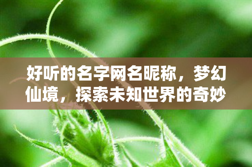 好听的名字网名昵称,梦幻仙境,探索未知世界的奇妙之旅 好听的名字网名昵称,梦幻仙境,探索未知世界的奇妙之旅