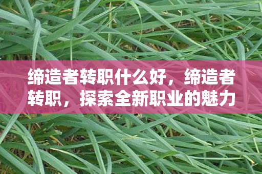 缔造者转职什么好,缔造者转职,探索全新职业的魅力与挑战 缔造者转职什么好,缔造者转职,探索全新职业的魅力与挑战
