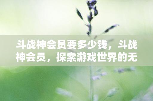 斗战神会员要多少钱,斗战神会员,探索游戏世界的无限可能 斗战神会员要多少钱,斗战神会员,探索游戏世界的无限可能