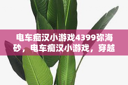 电车痴汉小游戏4399弥海砂，电车痴汉小游戏，穿越次元的奇妙冒险
