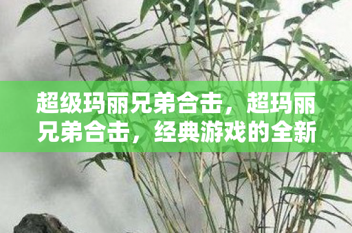超级玛丽兄弟合击,超玛丽兄弟合击,经典游戏的全新体验 超级玛丽兄弟合击,超玛丽兄弟合击,经典游戏的全新体验