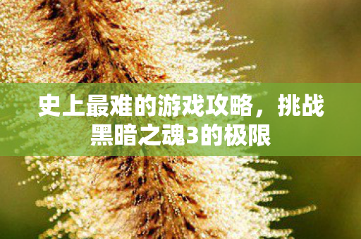 史上最难的游戏攻略,挑战黑暗之魂3的极限 史上最难的游戏攻略,挑战黑暗之魂3的极限