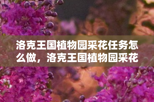 洛克王国植物园采花任务怎么做,洛克王国植物园采花,探索自然之美,感受生命之奇迹 洛克王国植物园采花任务怎么做,洛克王国植物园采花,探索自然之美,感受生命之奇迹