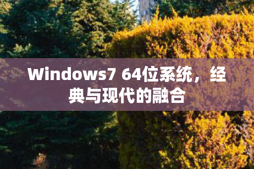 Windows7 64位系统,经典与现代的融合 Windows7 64位系统,经典与现代的融合