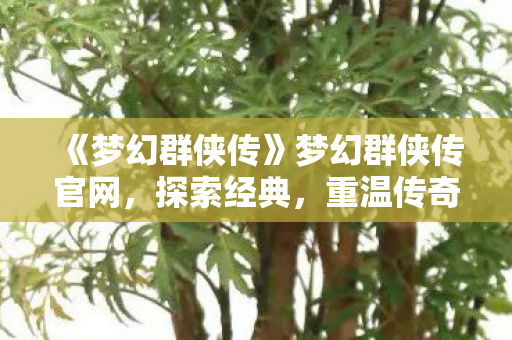 《梦幻群侠传》梦幻群侠传官网,探索经典,重温传奇 《梦幻群侠传》梦幻群侠传官网,探索经典,重温传奇
