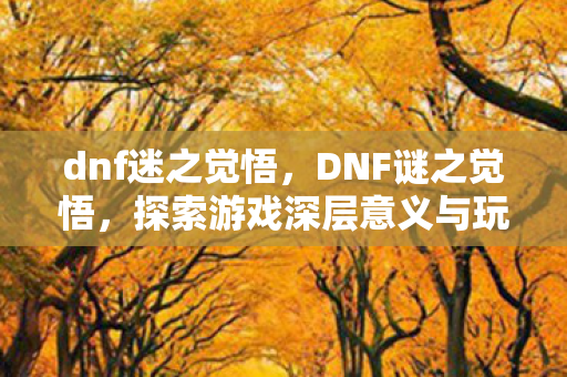 dnf迷之觉悟,DNF谜之觉悟,探索游戏深层意义与玩家心理 dnf迷之觉悟,DNF谜之觉悟,探索游戏深层意义与玩家心理