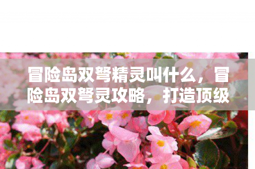 冒险岛双弩精灵叫什么,冒险岛双弩灵攻略,打造顶级角色的全面指南 冒险岛双弩精灵叫什么,冒险岛双弩灵攻略,打造顶级角色的全面指南