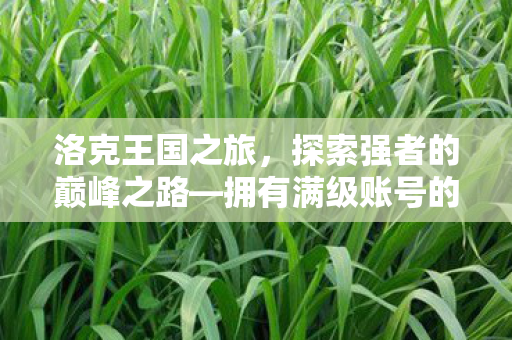 洛克王国之旅，探索强者的巅峰之路—拥有满级账号的独特体验