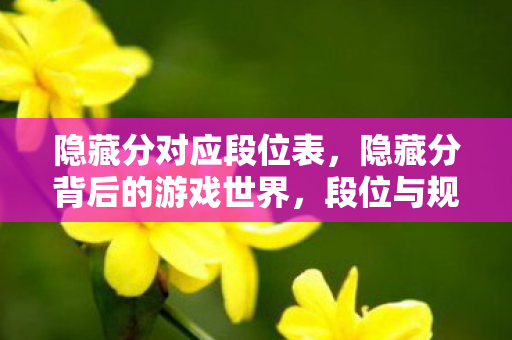 隐藏分对应段位表,隐藏分背后的游戏世界,段位与规则的奥秘 隐藏分对应段位表,隐藏分背后的游戏世界,段位与规则的奥秘