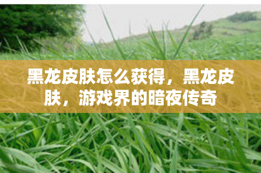 黑龙皮肤怎么获得,黑龙皮肤,游戏界的暗夜传奇 黑龙皮肤怎么获得,黑龙皮肤,游戏界的暗夜传奇