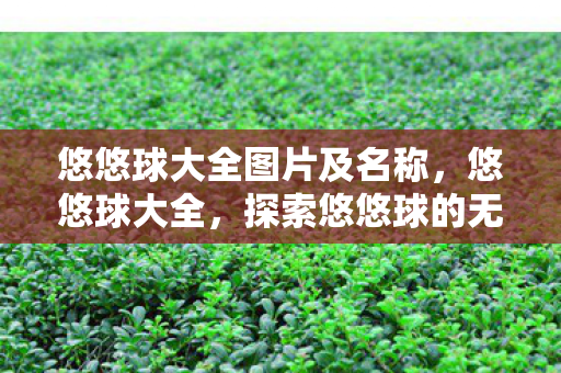 悠悠球大全图片及名称,悠悠球大全,探索悠悠球的无限魅力 悠悠球大全图片及名称,悠悠球大全,探索悠悠球的无限魅力