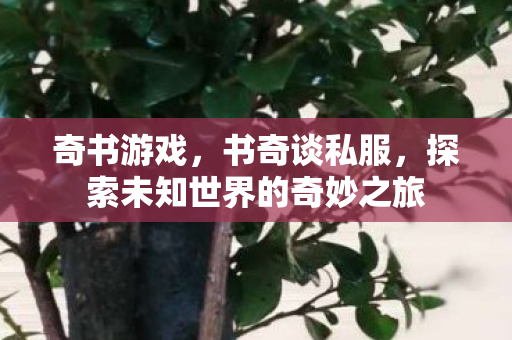 奇书游戏,书奇谈私服,探索未知世界的奇妙之旅 奇书游戏,书奇谈私服,探索未知世界的奇妙之旅