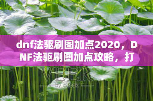 dnf法驱刷图加点2020,DNF法驱刷图加点攻略,打造高效刷图体验 dnf法驱刷图加点2020,DNF法驱刷图加点攻略,打造高效刷图体验