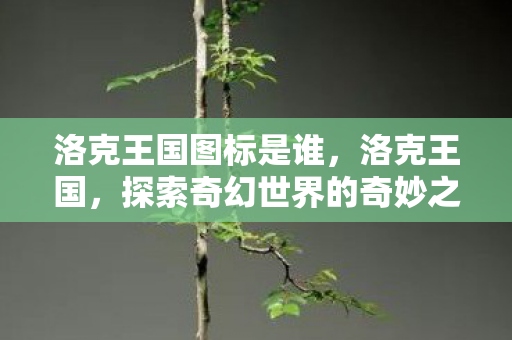 洛克王国图标是谁,洛克王国,探索奇幻世界的奇妙之旅 洛克王国图标是谁,洛克王国,探索奇幻世界的奇妙之旅