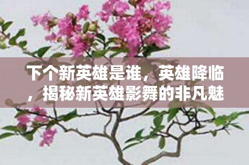下个新英雄是谁,英雄降临,揭秘新英雄影舞的非凡魅力 下个新英雄是谁,英雄降临,揭秘新英雄影舞的非凡魅力
