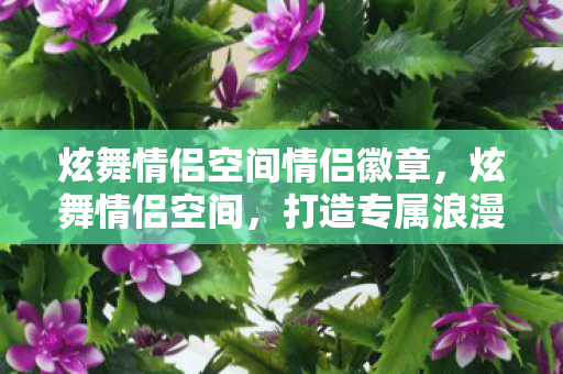 炫舞情侣空间情侣徽章,炫舞情侣空间,打造专属浪漫,共舞梦幻舞步 炫舞情侣空间情侣徽章,炫舞情侣空间,打造专属浪漫,共舞梦幻舞步