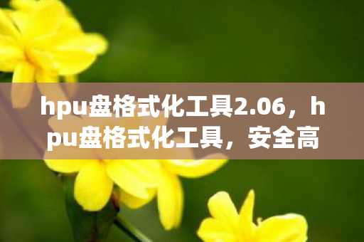 hpu盘格式化工具2.06,hpu盘格式化工具,安全高效,轻松管理U盘 hpu盘格式化工具2.06,hpu盘格式化工具,安全高效,轻松管理U盘