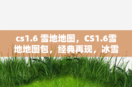 cs1.6 雪地地图，CS1.6雪地地图包，经典再现，冰雪世界的战斗体验
